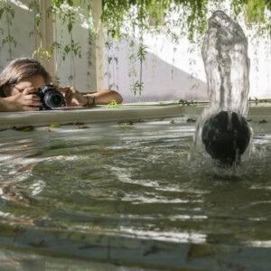 Curso Iniciación a la Fotografía Express (8h)