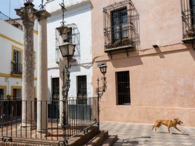 8sevillaphotowalks_tarifas-2018-1-1