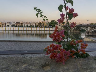 calle-betis-photowalk