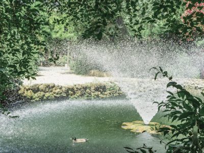 parque marialuisa-7791