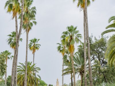 paseo rio-1875